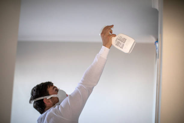 Best Residential Mold Removal  in Riley, KS