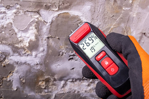 Best Crawl Space Mold Removal  in Riley, KS