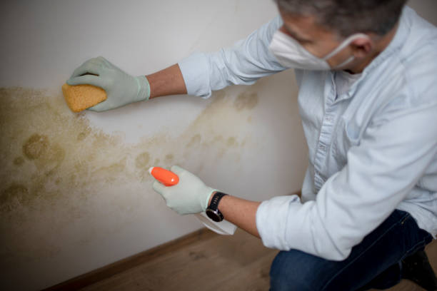 Best Water Damage Restoration  in Riley, KS
