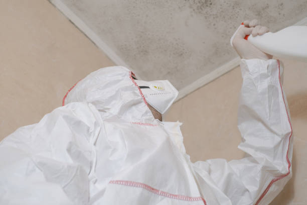 Best Office Mold Removal Services  in Riley, KS