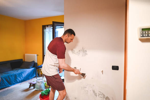 Best Emergency Mold Removal  in Riley, KS