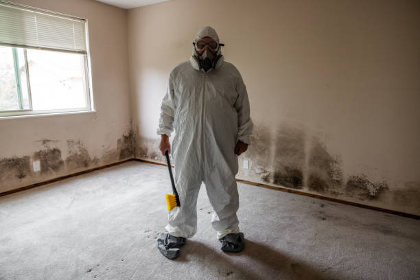 Best Black Mold Removal  in Riley, KS