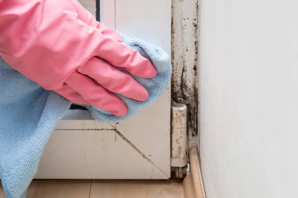 Best Mold Testing  in Riley, KS